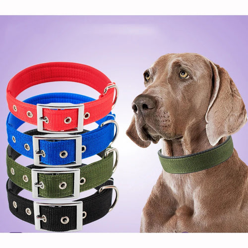 Dog Collars NyloN
