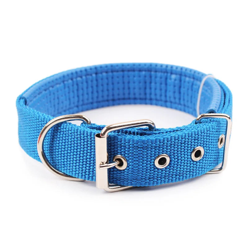Dog Collars NyloN