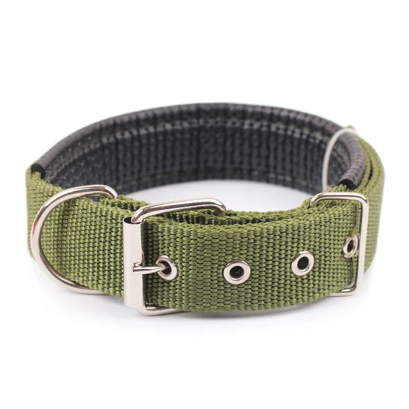 Dog Collars NyloN