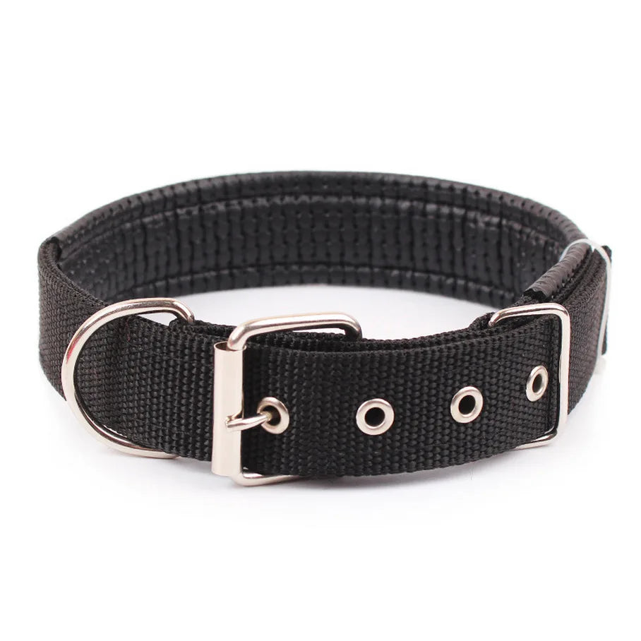 Dog Collars NyloN