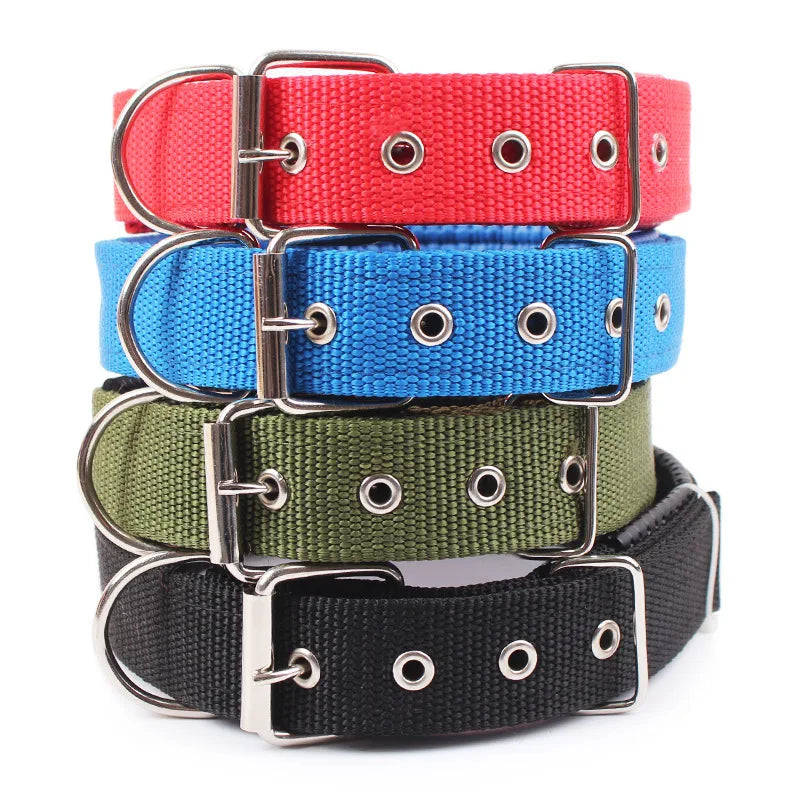 Dog Collars NyloN