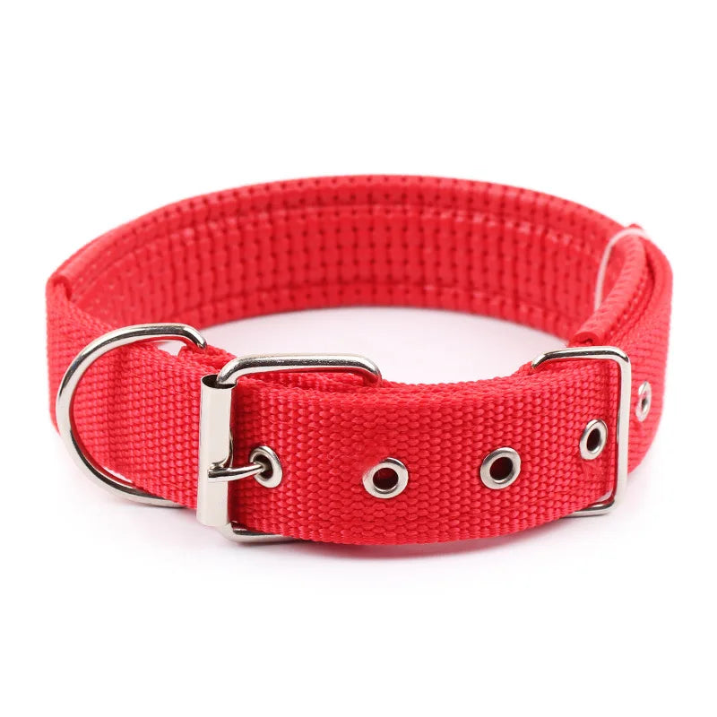 Dog Collars NyloN