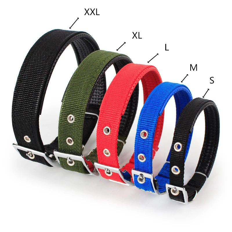 Dog Collars NyloN