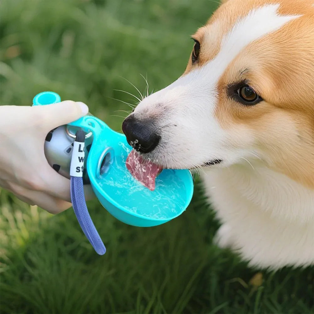 Dog Water Bottle with Removable Silicone