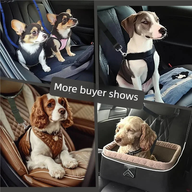 Adjustable Dog Seat Belt