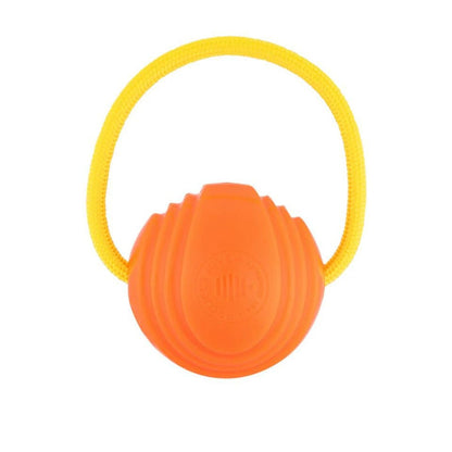 Project Hive Dog Ball